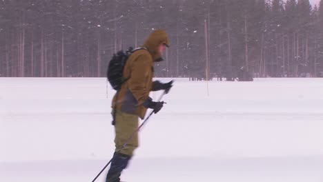 a cross country skier moves across a snowy landscape