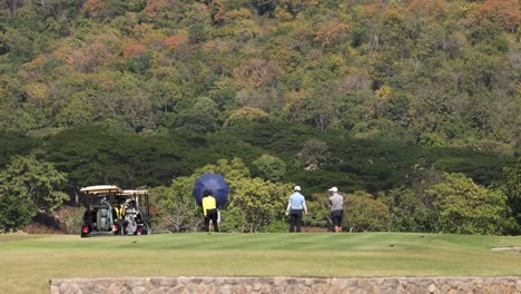 group of golfers playing on a green course