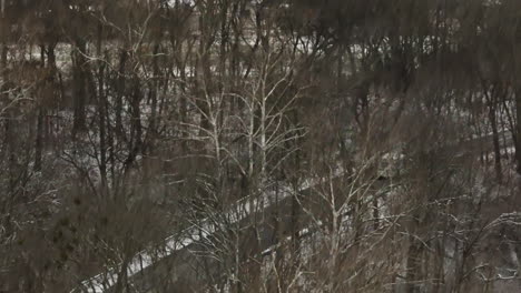 Día-De-Nieve-Sobre-La-Carretera-Junto-Al-Bosque-Cerca-Del-Lago-Sequoyah-En-El-Condado-De-Washington,-Arkansas