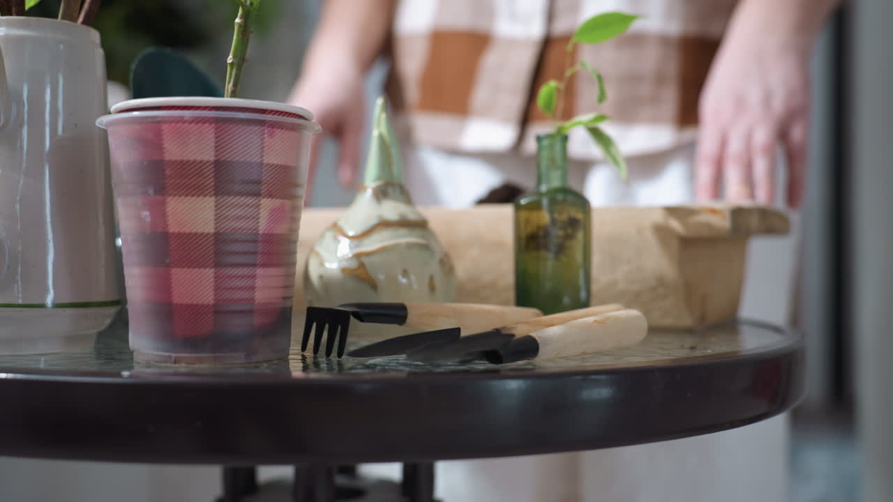 Blurry view of woman hands on wooden toolbox with indoor gardening tools and young potted plants arranged on glass table in cozy home greenhouse setting by white brick wall and hanging vines