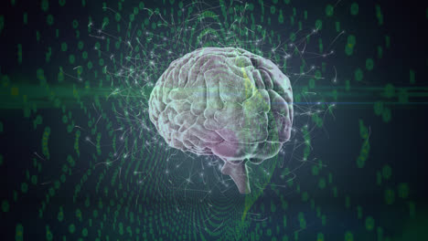 animación del cerebro girando sobre un fondo verde y negro con conexiones neuronales