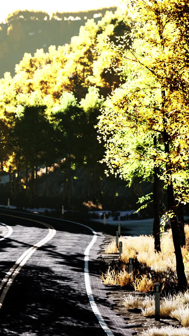 경치 좋은 가을 도로