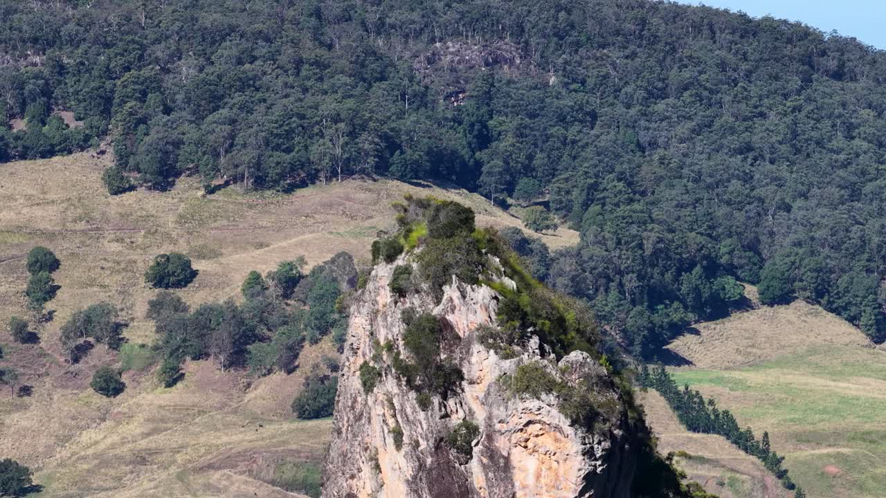 Drone footage captures the majestic rhyolite volcanic plugs of Nimbin Rocks surrounded by lush eucalyptus forest in bright daylight