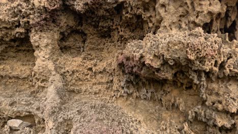 detailed view of weathered rock formations