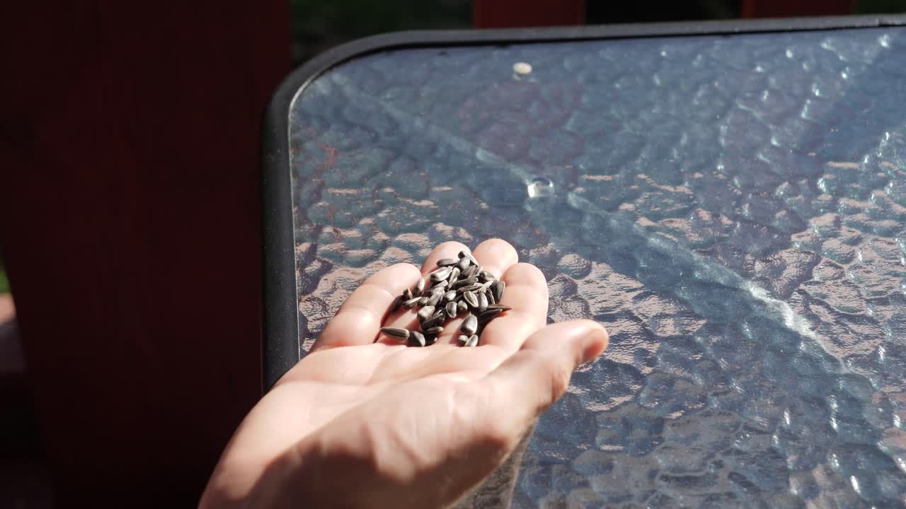 큰  ⁇ 이 손에서  ⁇ 꽃을 가져