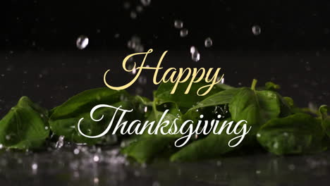 Happy-Thanksgiving-text-animation-over-fresh-green-leaves-with-water-droplets