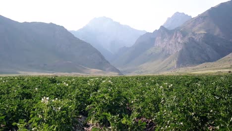 Beautiful-Valley-nature-in-Kyrgyzstan-Mountains