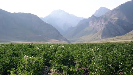 hermosa naturaleza del valle en las montañas de kirguistán