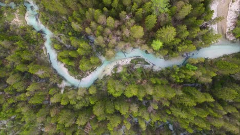 Top-shot-of-winding-river-near-Lake-Dobbiaco-and-green-forest-in-Toblacher-See,-South-Tyrol,-Italy