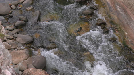 Rushing-stream-over-rocks-in-Cajones-de-Chame,-Panama,-vibrant-natural-scene