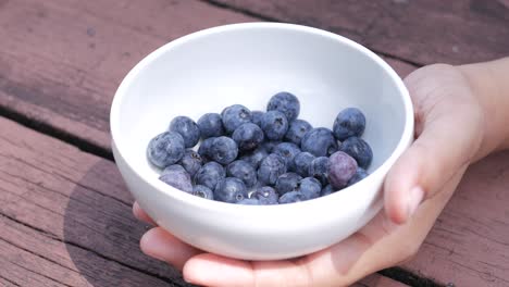 close-up of hand holding a bowl of fresh blueberries