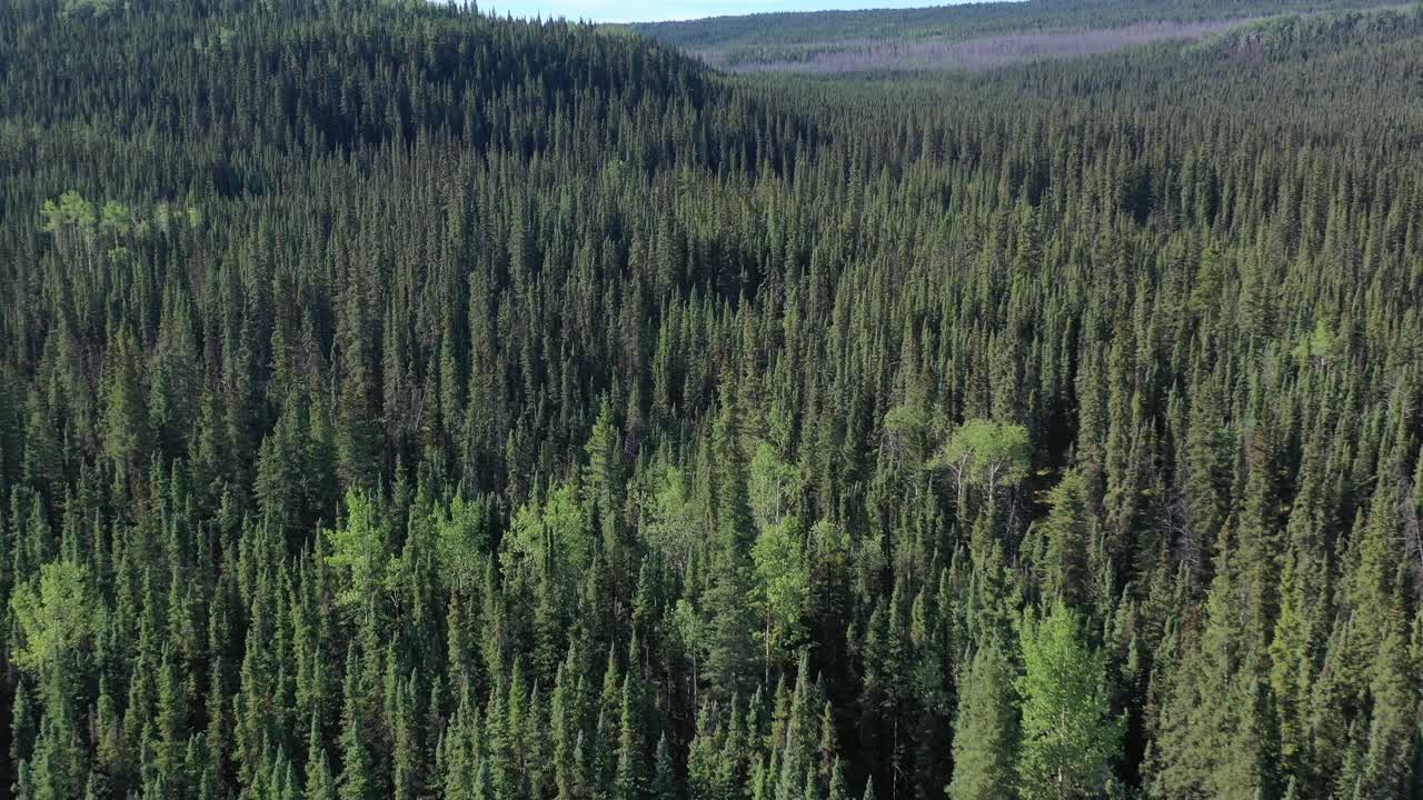 Alaska Highway drone footage reveals hidden gems of northern British Columbia