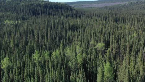 Drohnenaufnahmen-Vom-Alaska-Highway-Enthüllen-Verborgene-Schätze-Im-Norden-Von-British-Columbia