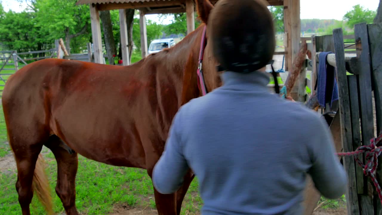 el hombre peina la melena de un caballo marrón