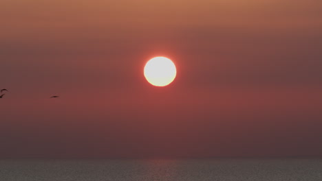 evening sun descent at sea