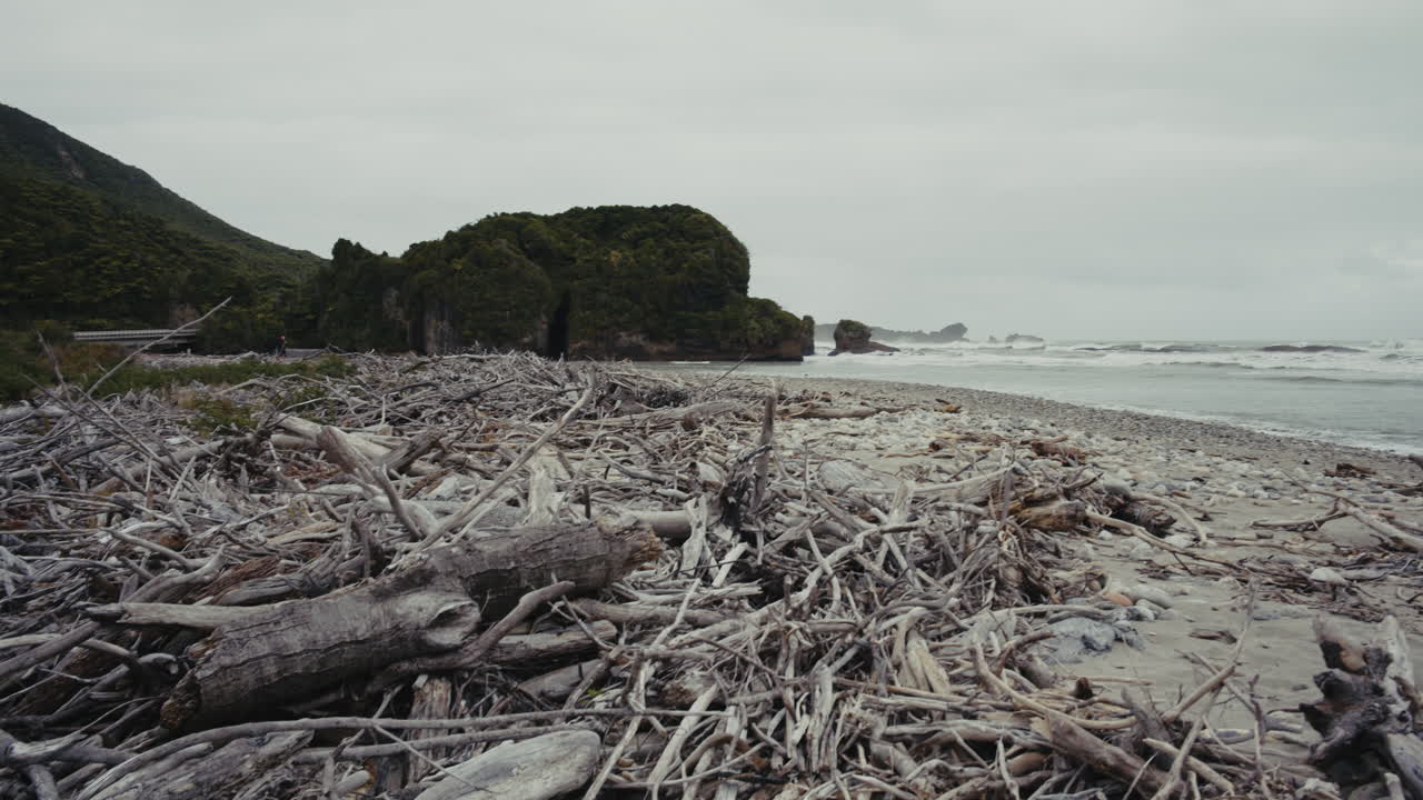 Driftwood-Covered Beach