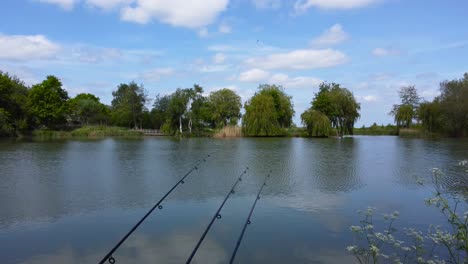 a beautiful view of a lake with many trees on the shores of the lake and three fishing rod on the unique side of the lake