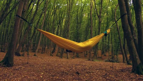 Smooth-top-down-zoom-of-a-hammock-in-the-woods