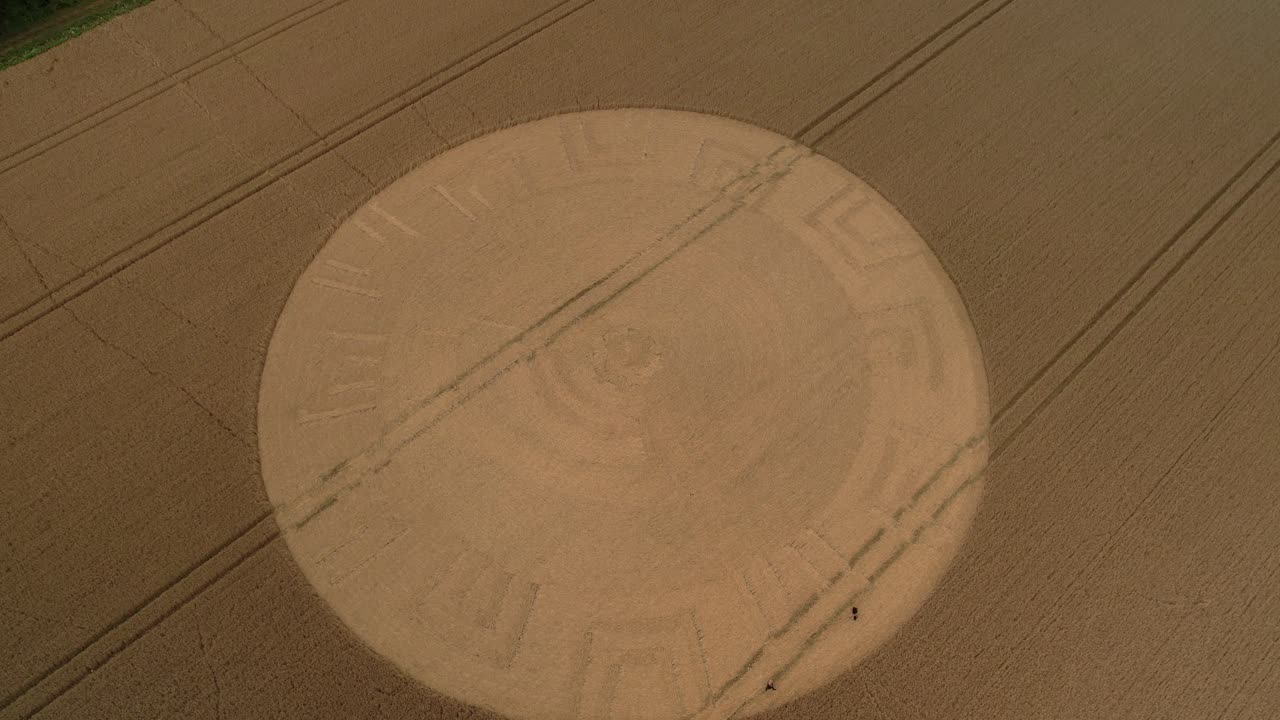 Aerial view rising over cultivated golden farmland with remains of crop circle design, Devizes