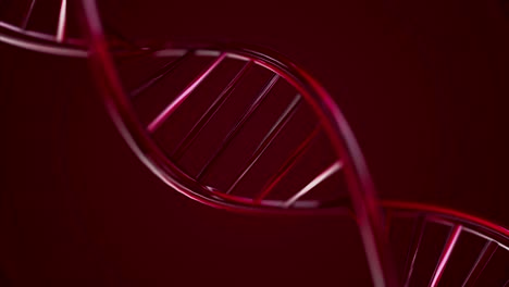 dna 이중 나선형의 3d 모델