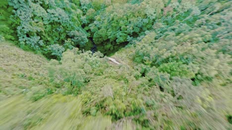 salto del rodeo - green forest in the mountain with waterfalls near the town in dominican republic