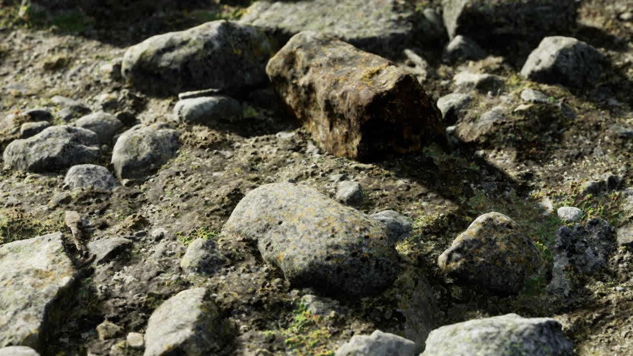 Rocky ground with diverse stones and a weathered boulder in sunlight