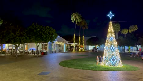 illuminated tree with people at night