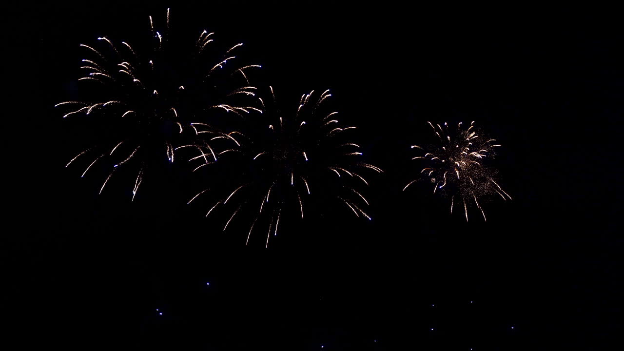 Colorful Firework display at night on sky background