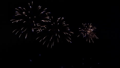colorful firework display at night on sky background
