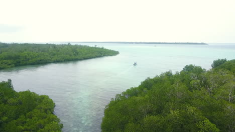 Durante-El-Día-En-Las-Islas-Del-Bosque-De-Manglar