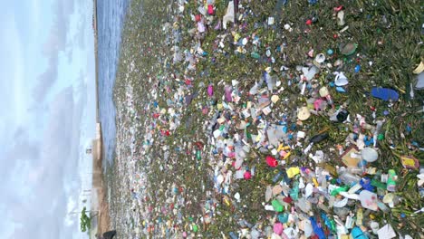 海に浮かぶプラスチックゴミと草の垂直ショット