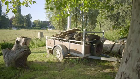 a wagon full of fire wood standing under a tree on the side of a green field at sunrise