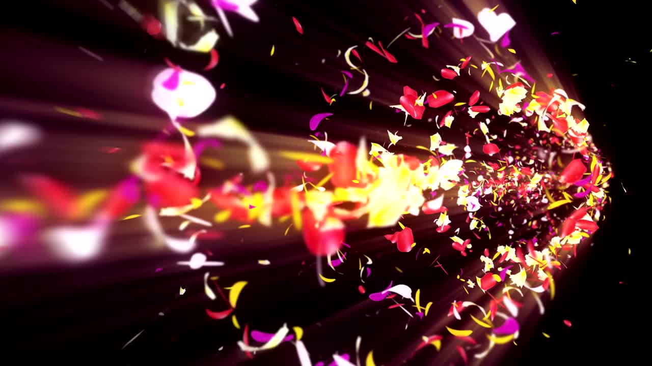 Colorful petals. Spiral shiny petals of blossoms. Flower pattern. Pretty dancing petal. Vortex from spin petals. Abstract loop animation.