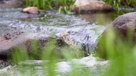 river, stream, channel water flowing.