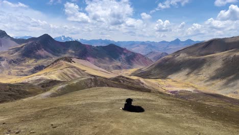 a dog sits and view the incredible colorful andes mountains