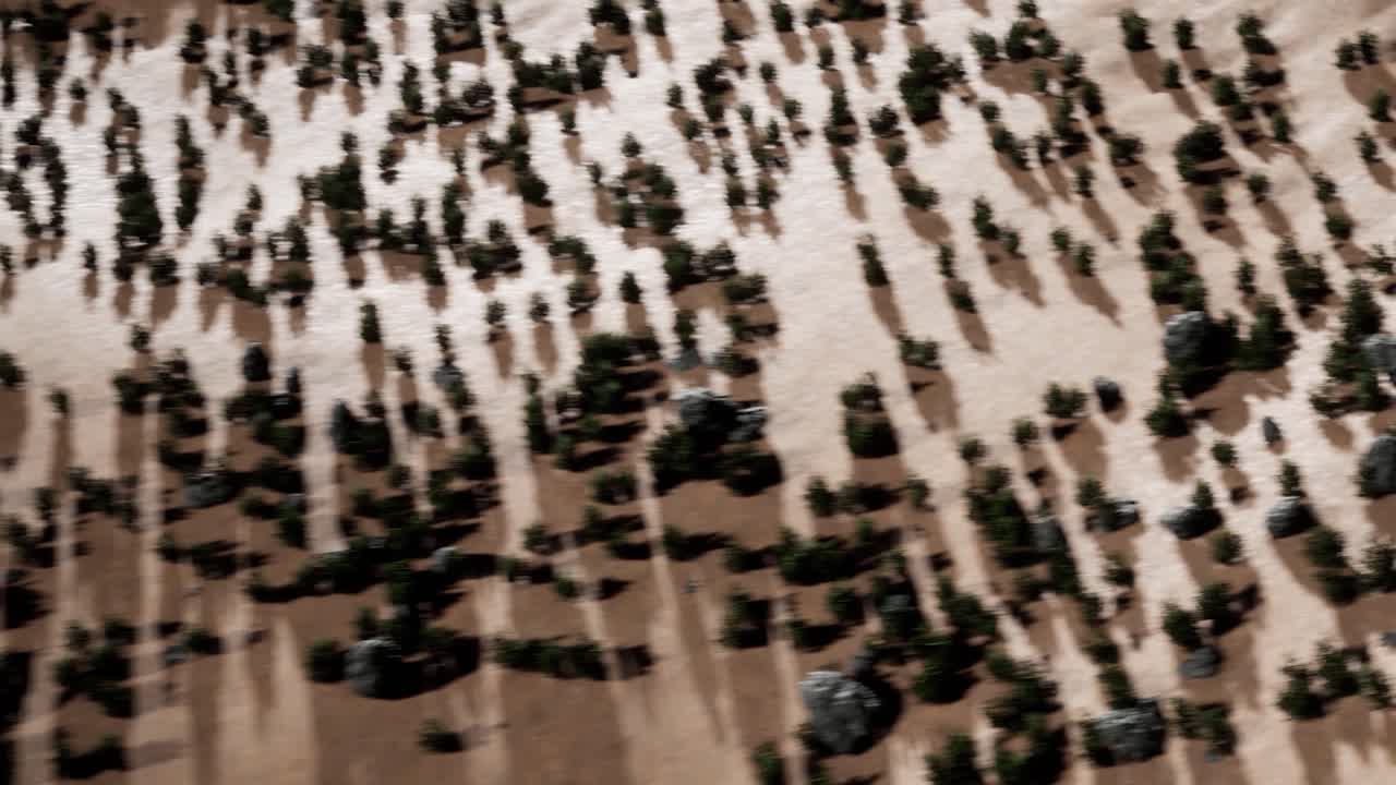 Aerial View of a Desert Landscape with Trees and Rocks