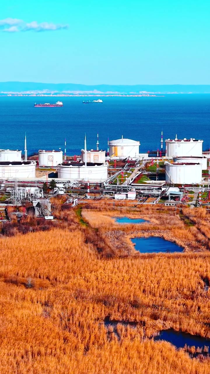 ブルガリアの秋の葦のそばにある石油貯蔵タンクの空撮。ドローンからの視点では、金色の葦原、小さな池、遠くのタンカー船が見える。縦型動画。