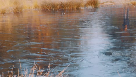 frozen lake with reflection of a person standing near edge during daytime