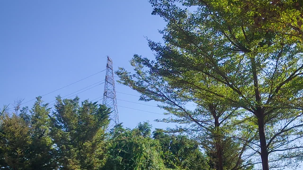 Electric power transmission tower rising above green trees under clear blue sky, energy infrastructure and electricity grid concept with nature environment contrast