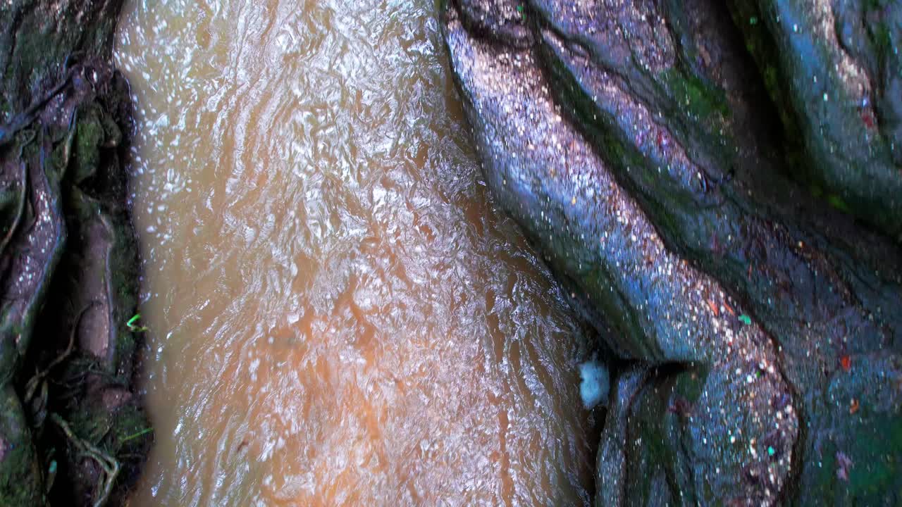 넬슨 레지스 주립공원의 낙엽과 생기 넘치는 나무로 둘러싸인 크리스탈 크릭의 드론 샷