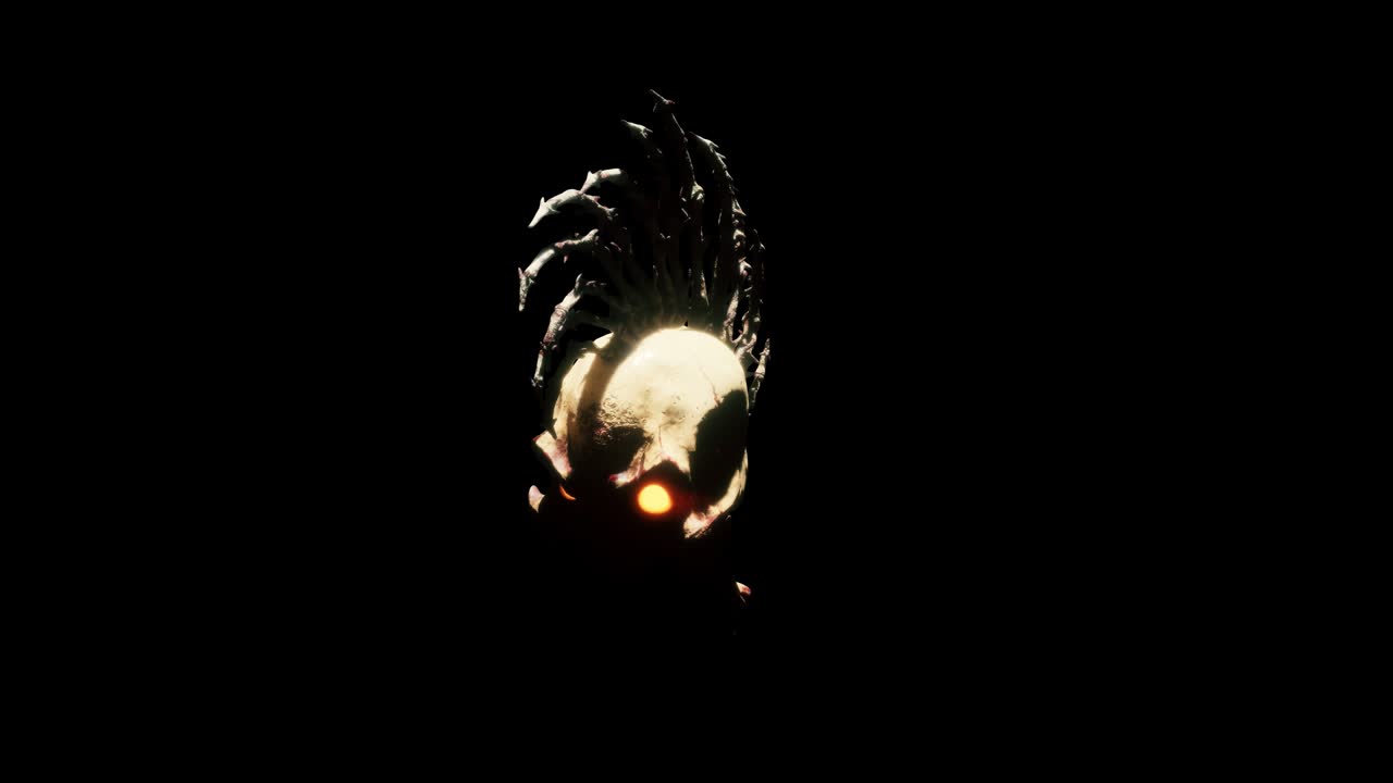 el bucle de la calavera vj punk