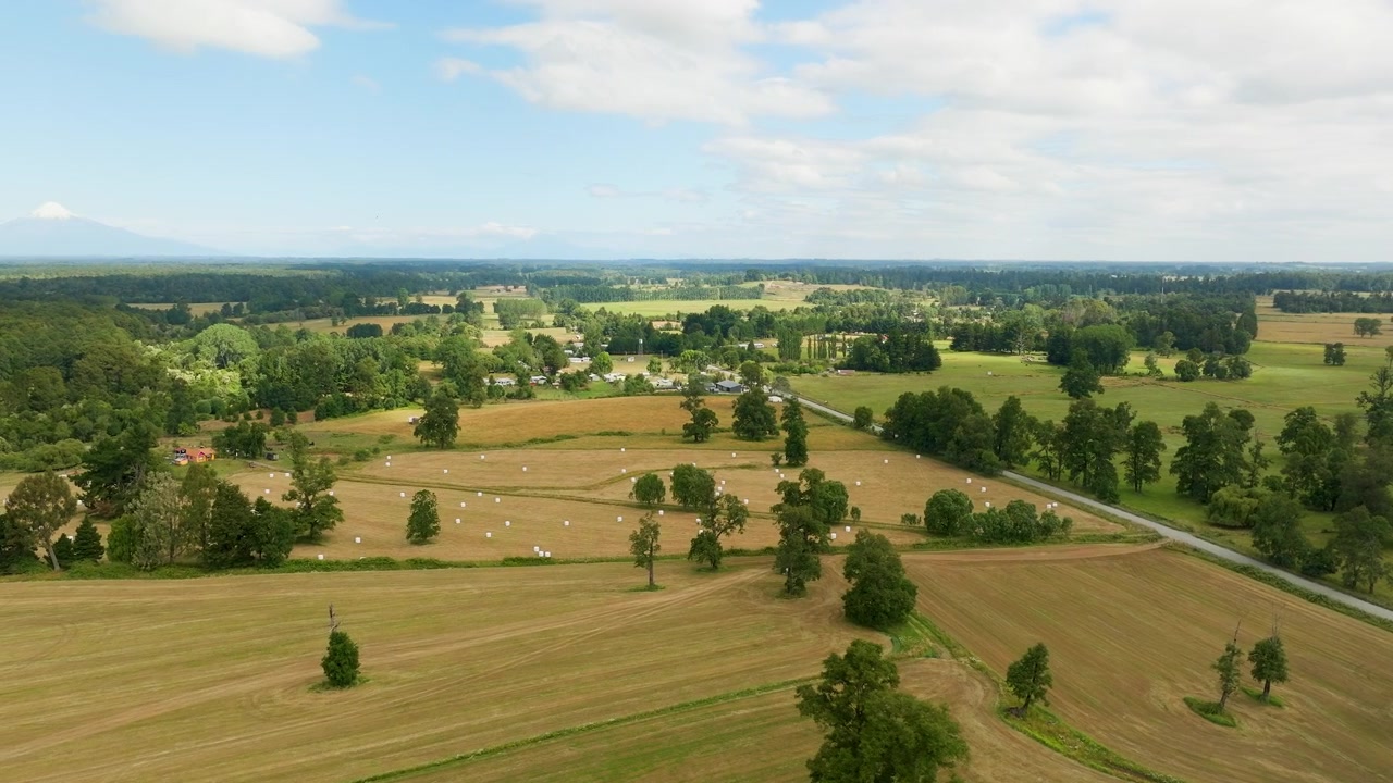 Drone-luchtopname die van rechts naar links beweegt terwijl hij hoogte wint over geoogste landbouwvelden en hooibalen nabij Puerto Octay, Chili.