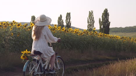 Mädchen-In-Weißem-Kleid-Fahren-Zur-Goldenen-Stunde-In-Idyllischer-Sonnenblumenlandschaft-Mit-Dem-Fahrrad