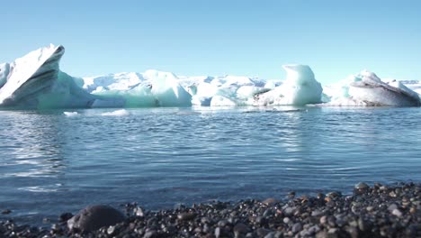 Sea-lagoon-in-Iceland-with-icebergs,-floes-and-black-volcanic-pebbles