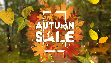 animation of text autumn sale, with falling leaves and gold confetti over autumn forest background