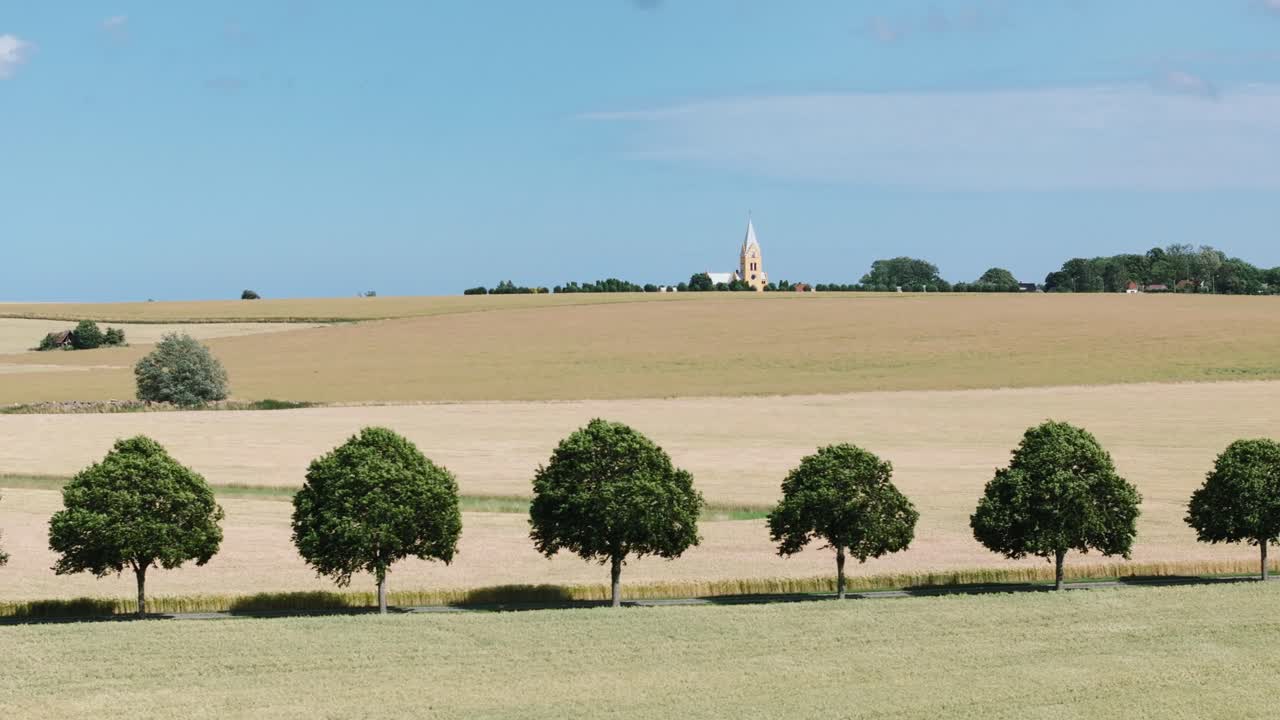 vista aérea de la carretera bordeada de árboles entre el campo con cultivos maduros en verano