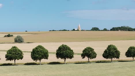 aerial view of tree-lined road between the field with ripe crops in summer