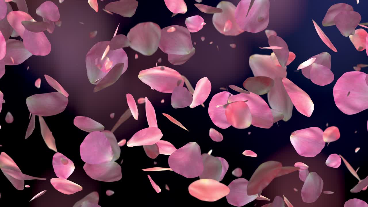 아름다운 검은 바탕에 떨어지는 분홍색 장미 잎자루