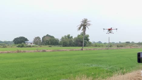 agricultural drone fly over green field