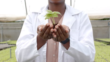 holding young plant, person in lab coat working at hydroponic farm